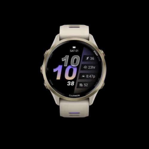 Sporthorloge GARMIN Forerunner® 970 French Gray / Indigo